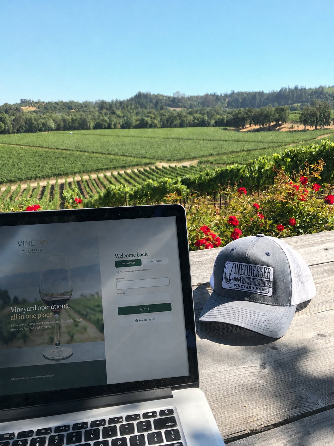 VineOps login open on a laptop beside a Vinedresser cap, overlooking vineyard rows